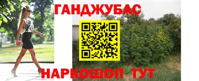 apvp Лесосибирск